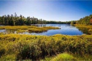 Michigan's Upper Peninsula Lake