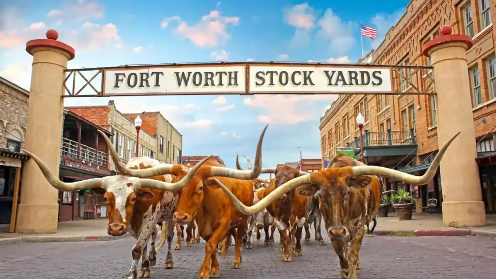 fort Worth is a city in the State of Texas